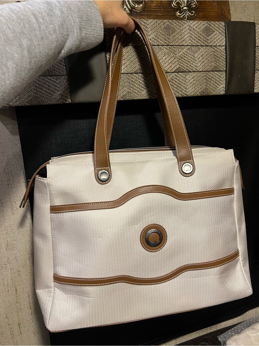 Delsey Paris Travel Garment Tote Bag w/ Matching Hanger & Storage Bag